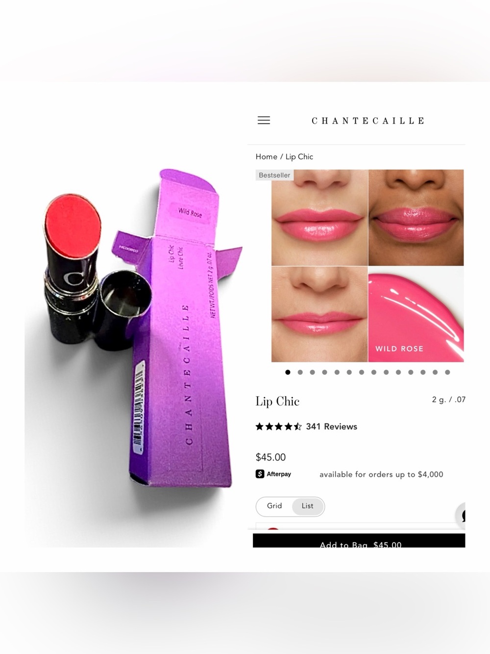 Chantecaille Lip Chic Wild Rose 2 g / .07 oz.